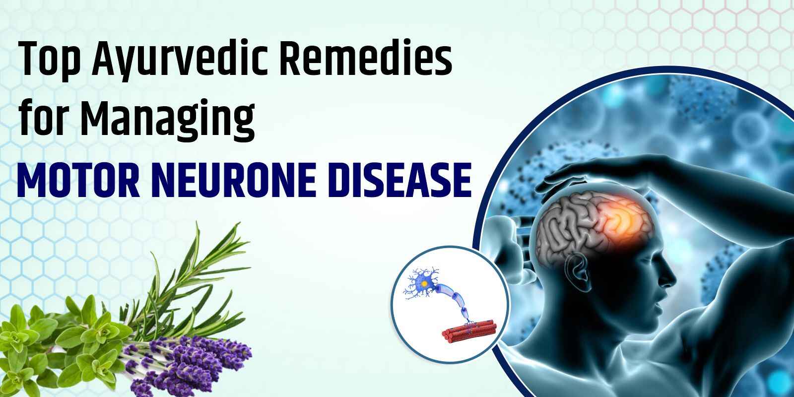 Ayurvedic Remedies for Motor Neurone Disease